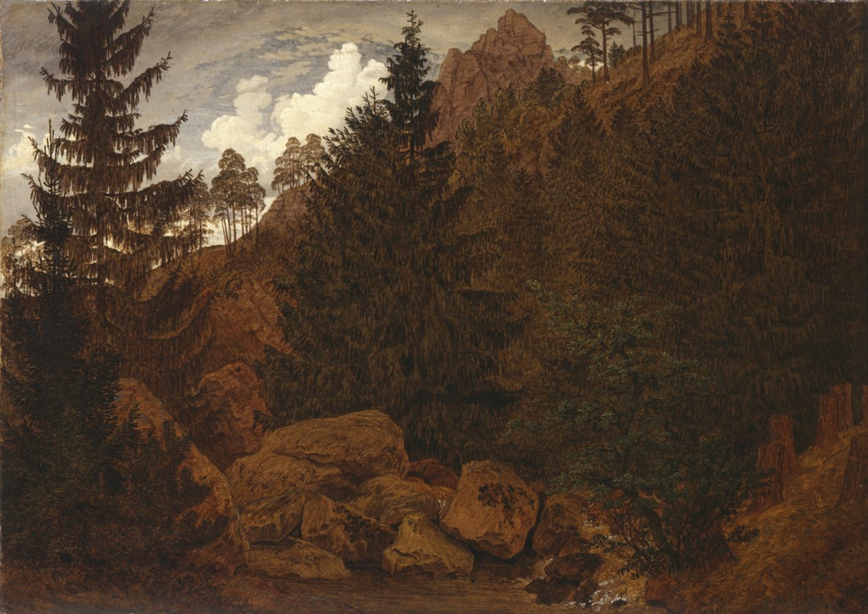 Felspartie im Harz tekijältä Caspar David Friedrich