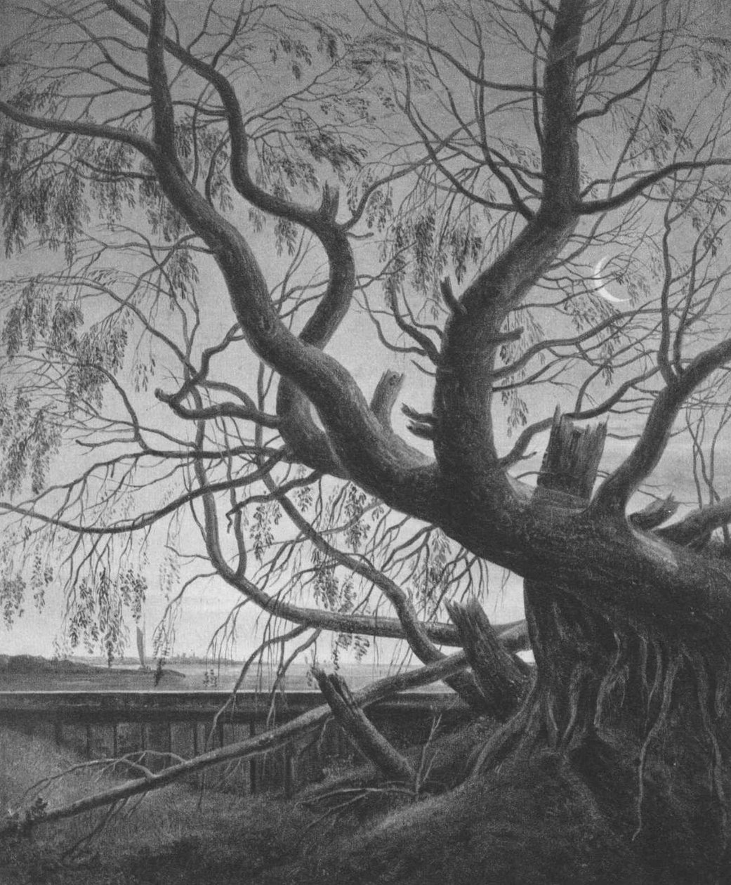 Weide im Mondlicht tekijältä Caspar David Friedrich