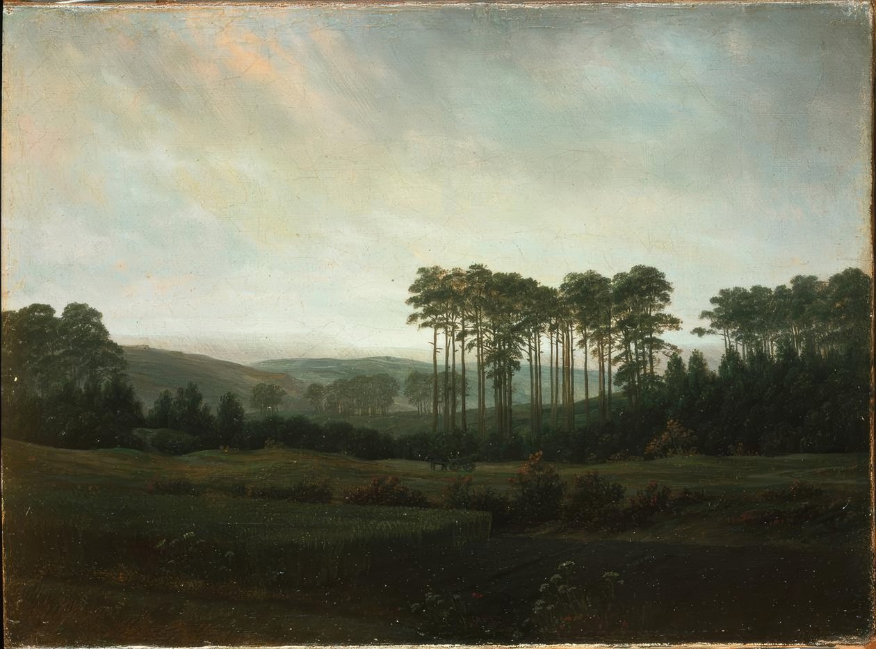 Der Nachmittag tekijältä Caspar David Friedrich