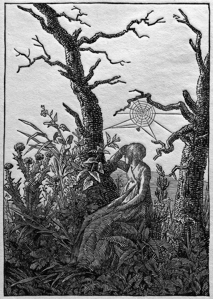 Die Frau mit dem Spinnennetz zwischen kahlen Bäumen tekijältä Caspar David Friedrich