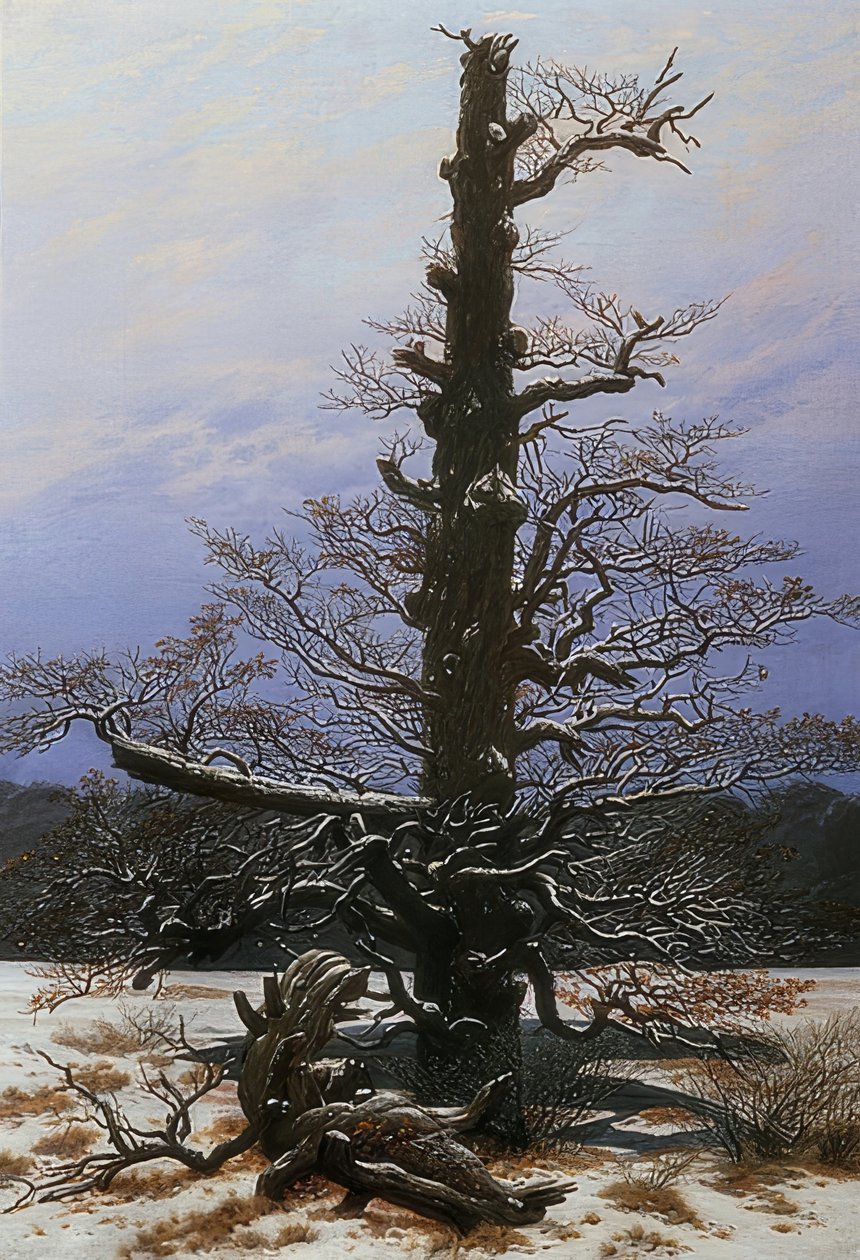 Tammi lumessa. 1829 tekijältä Caspar David Friedrich