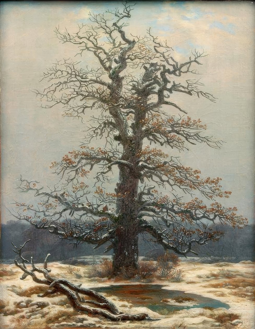 Eiche im Schnee tekijältä Caspar David Friedrich