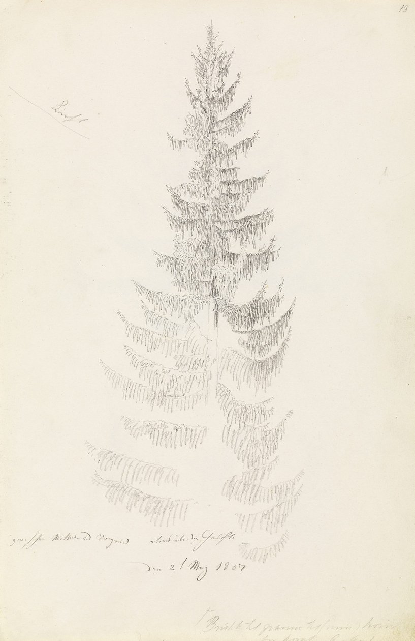 Kuusi tekijältä Caspar David Friedrich