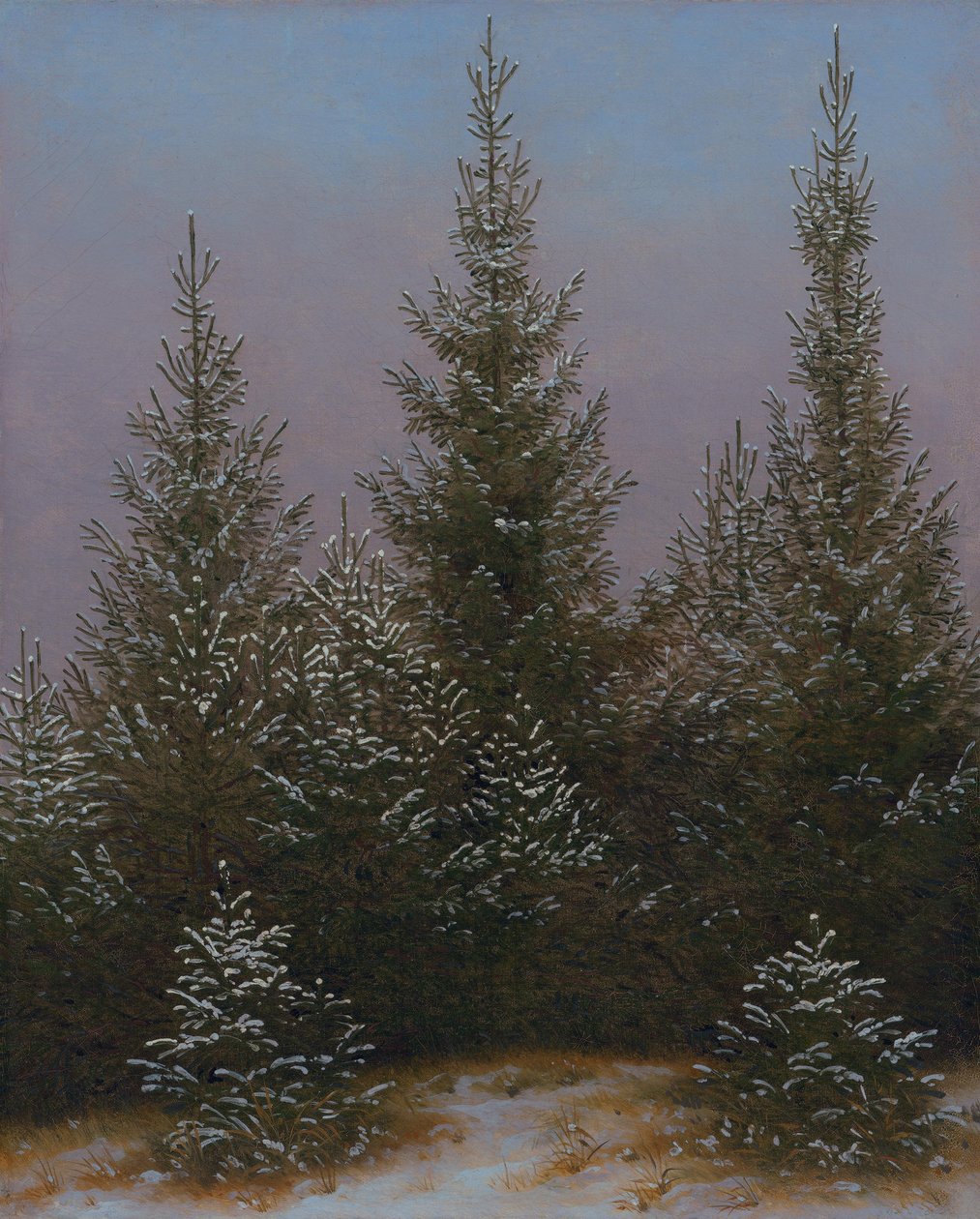 Lumessa oleva kuusimetsikkö (Teoksesta »Dresdner Heide I«) tekijältä Caspar David Friedrich