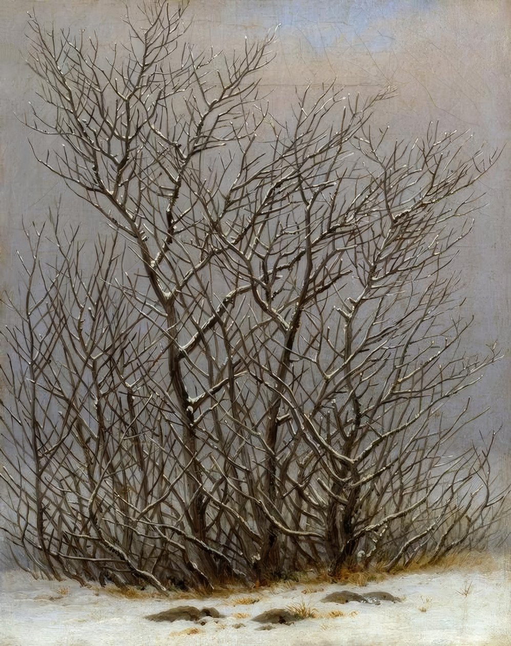 Gebüsch im Schnee tekijältä Caspar David Friedrich