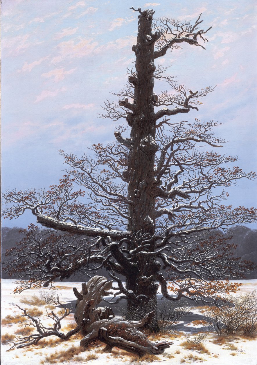 Saksan kieli: Eichbaum im Schnee Tammipuu lumessa tekijältä Caspar David Friedrich