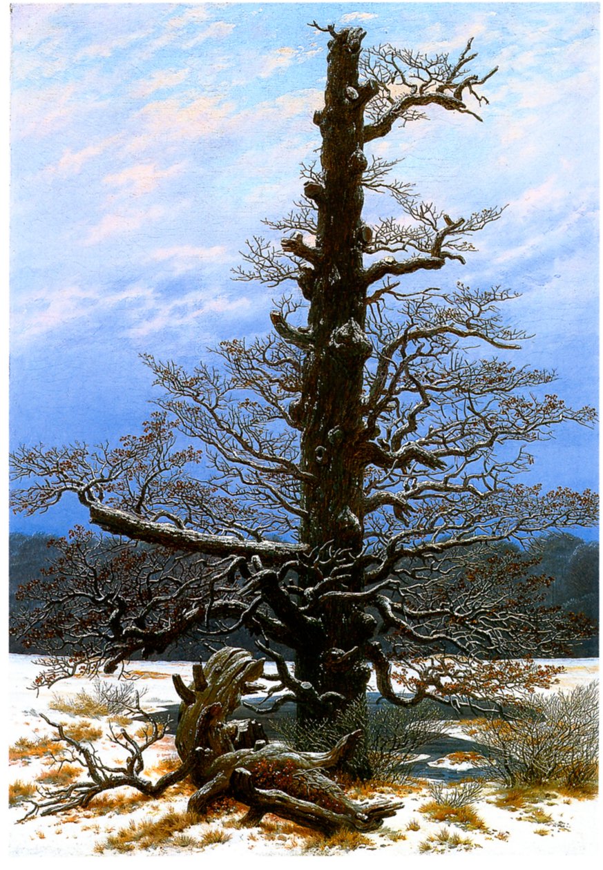 Saksan kieli: Eichbaum im Schnee Tammipuu lumessa tekijältä Caspar David Friedrich