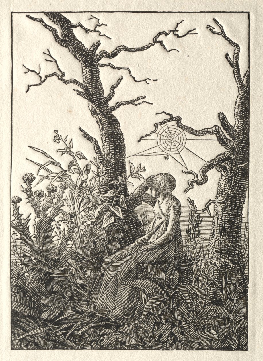 Nainen hämähäkinverkko paljaiden puiden välissä, 1803. tekijältä Caspar David Friedrich
