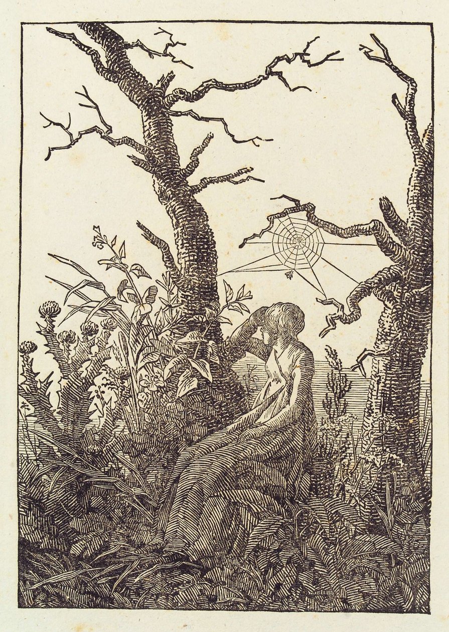 Nainen hämähäkinverkon kanssa tekijältä Caspar David Friedrich