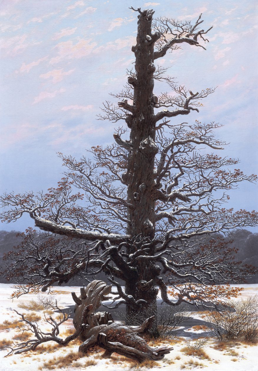 Talvimaisema (paljas puu) tekijältä Caspar David Friedrich