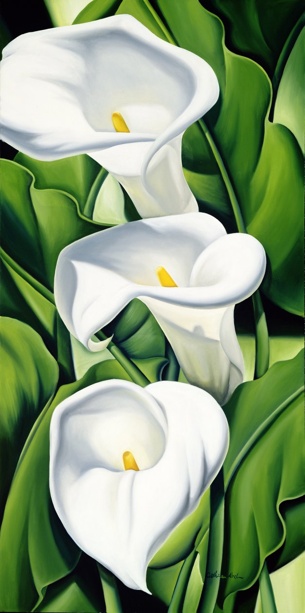 Liljat tekijältä Catherine Abel