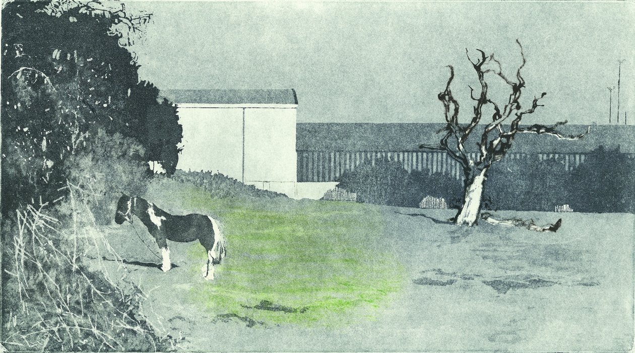Facing new growth, 2016 (Akvatintasyövytys ja kuivaneulaus) tekijältä Catherine Sutcliffe-Fuller