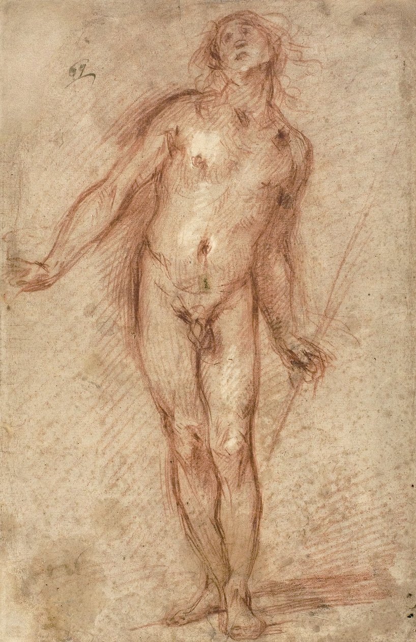 Seisova miesalasti, 1637-38 tekijältä Cecco Bravo