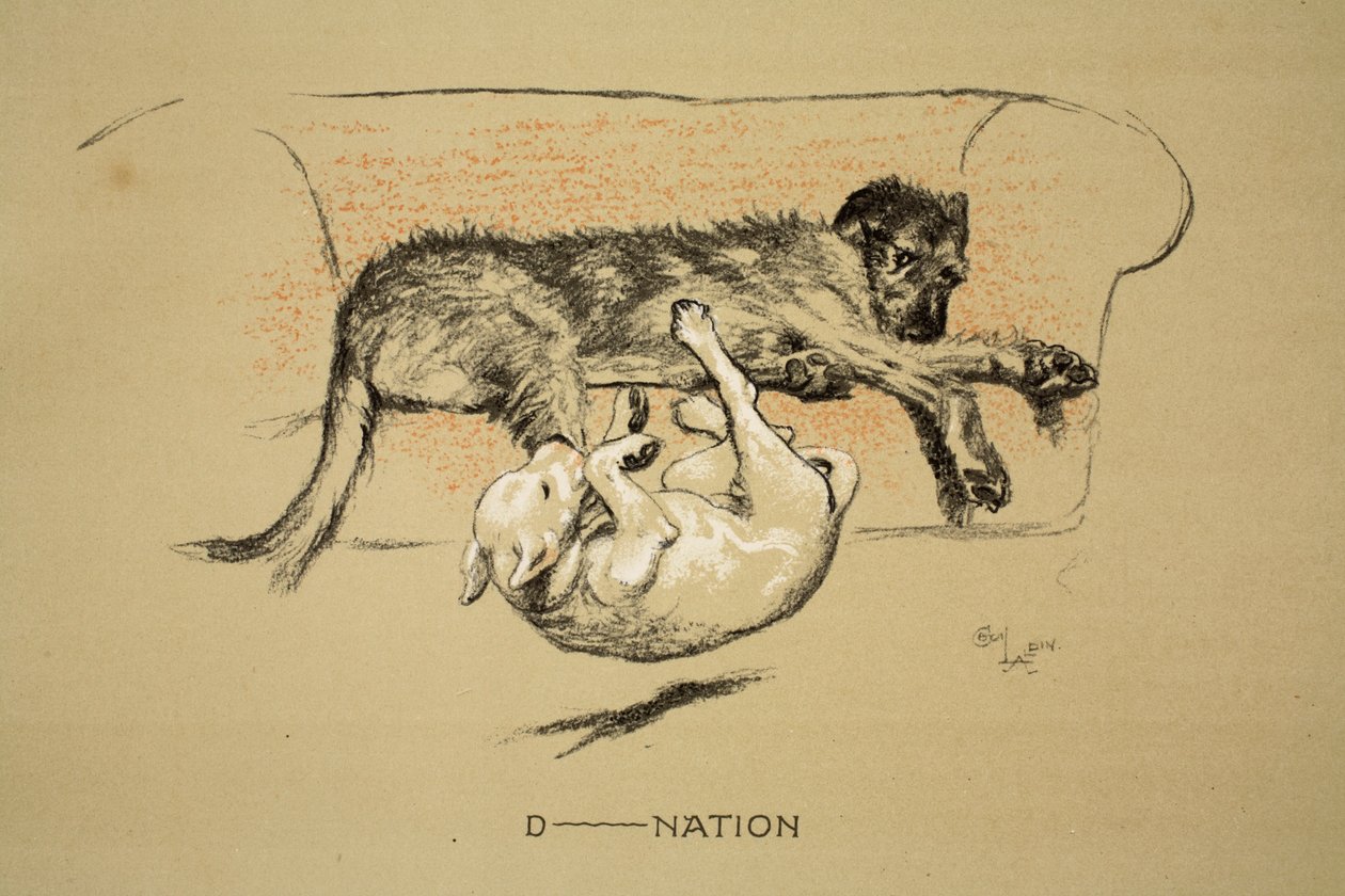 D--nation, 1930, 