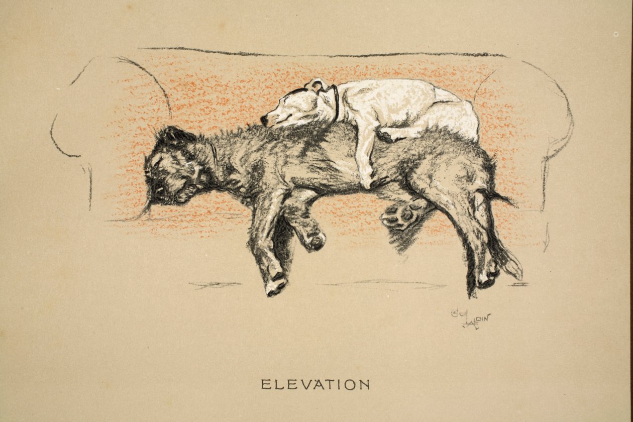 Elevation, 1930, 