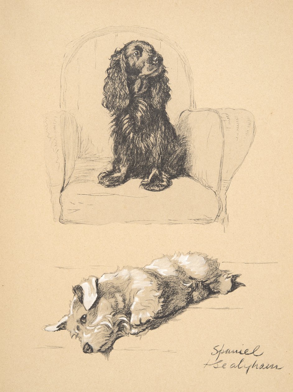 Spanieli ja Sealyham, 1930, Kuvituksia hänen luonnoskirjastaan, jota käytetään "Just among Friends" -julkaisussa, Aldin, Cecil Charles Windsor (1870-1935), myöhemmin julkaissut Eyre and Spottiswoode Limited, 1934, Chalk an tekijältä Cecil Charles Windsor Aldin