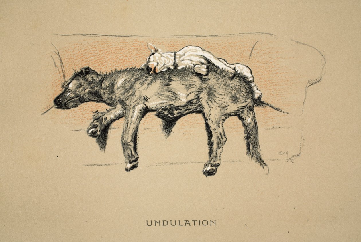 Undulation, 1930, 1. painos teoksesta 