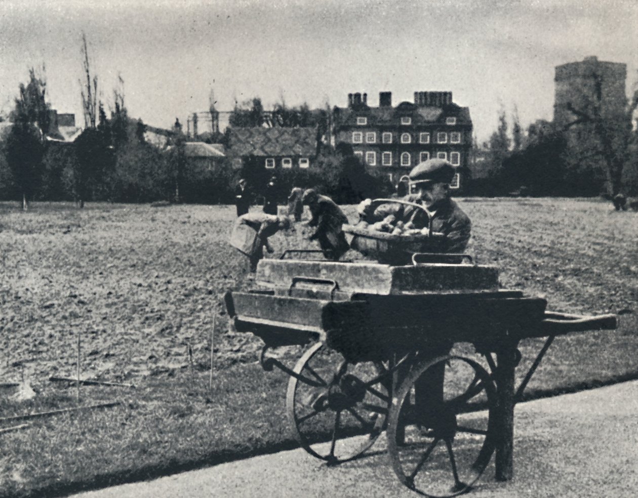 Perunat Kew Gardensissa, 1941 tekijältä Cecil Beaton