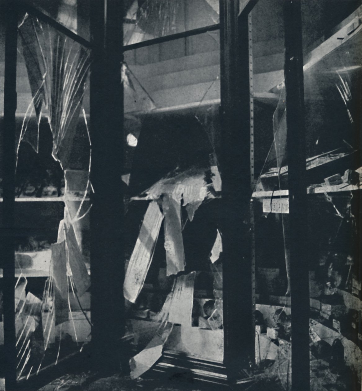 Näyttelykotelot Luonnontieteellisessä museossa, 1941 tekijältä Cecil Beaton