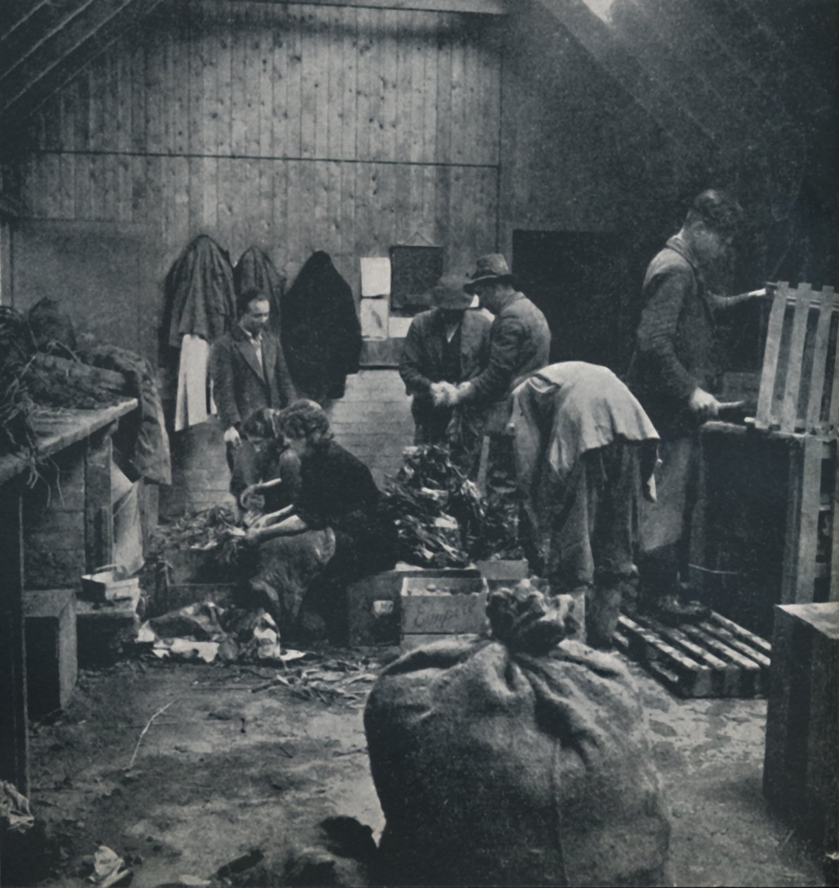 Vihanneksia markkinoille, 1941 tekijältä Cecil Beaton