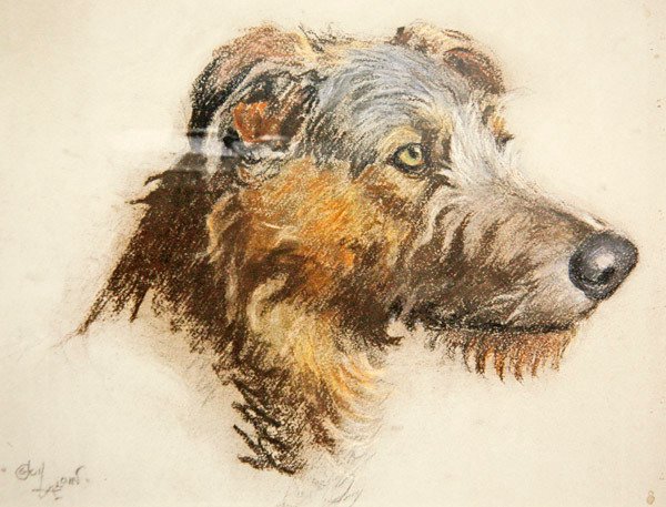 Skotlanninpeurakoira (pastelli sävytetylle paperille) tekijältä Cecil Charles Windsor Aldin