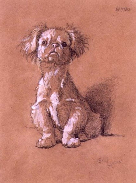 Bimbo (kynä ja guassi paperilla) tekijältä Cecil Charles Windsor Aldin