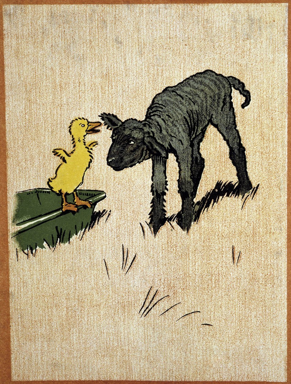 Musta lammas ja ankanpoikanen - Aldinin piirustus tekijältä Cecil Charles Windsor Aldin