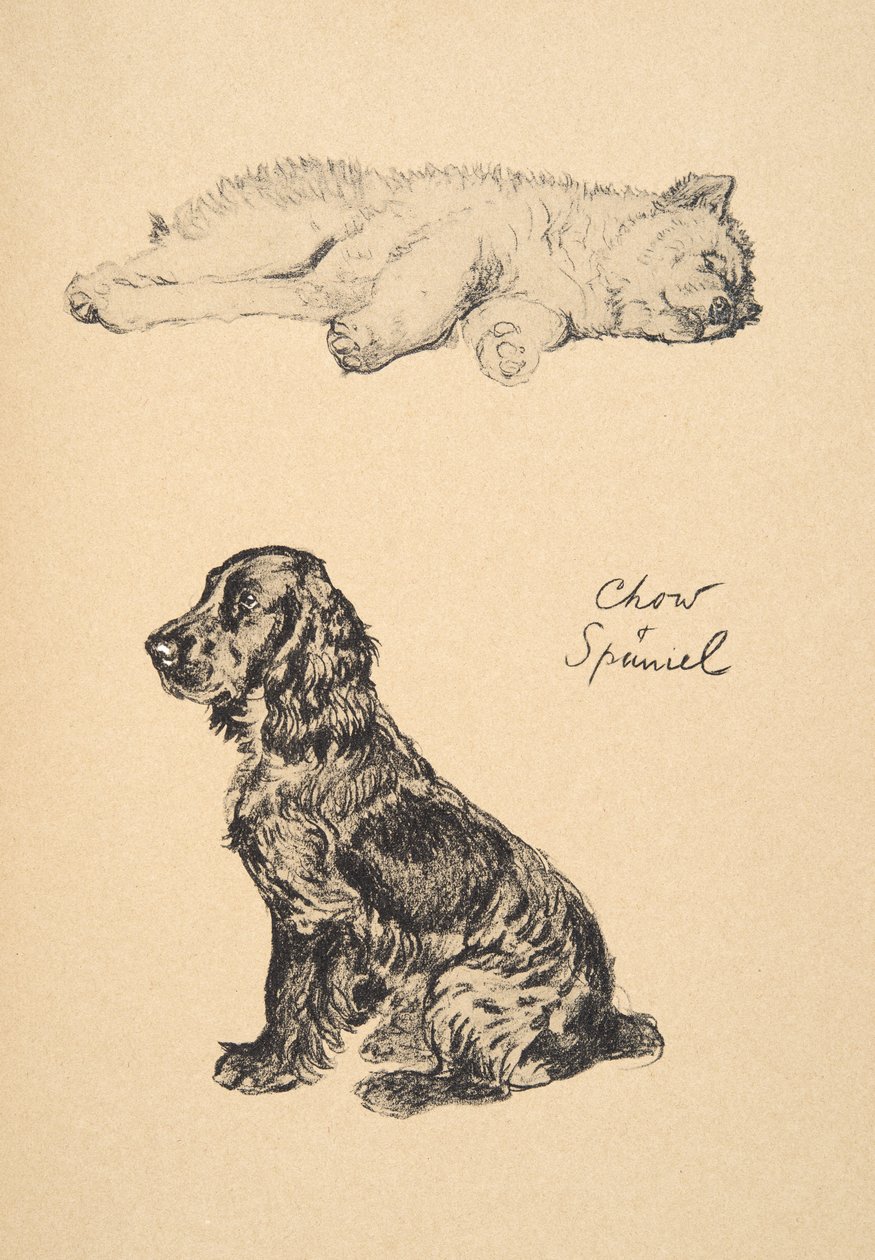 Chow ja Spaniel, 1930, Kuvituksia hänen luonnoskirjastaan, jota käytetään "Just among Friends", Aldin, Cecil Charles Windsor (1870-1935), myöhemmin julkaissut Eyre and Spottiswoode Limited, 1934, Chalk ja Ch tekijältä Cecil Charles Windsor Aldin