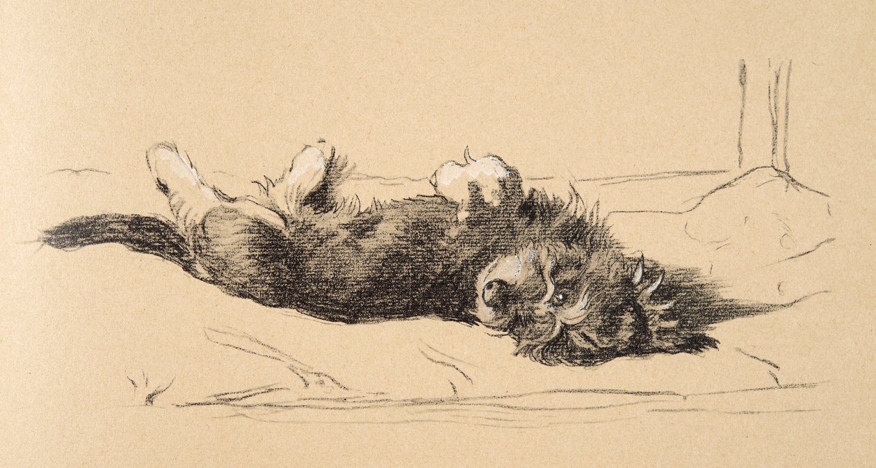 Rough Daschund Puppy Detail, 1930, Kuvituksia hänen luonnoskirjastaan, jota käytettiin julkaisussa Just among Friends, Aldin, Cecil Charles Windsor (1870-1935), myöhemmin julkaissut Eyre and Spottiswoode Limited, 1934, Cha tekijältä Cecil Charles Windsor Aldin