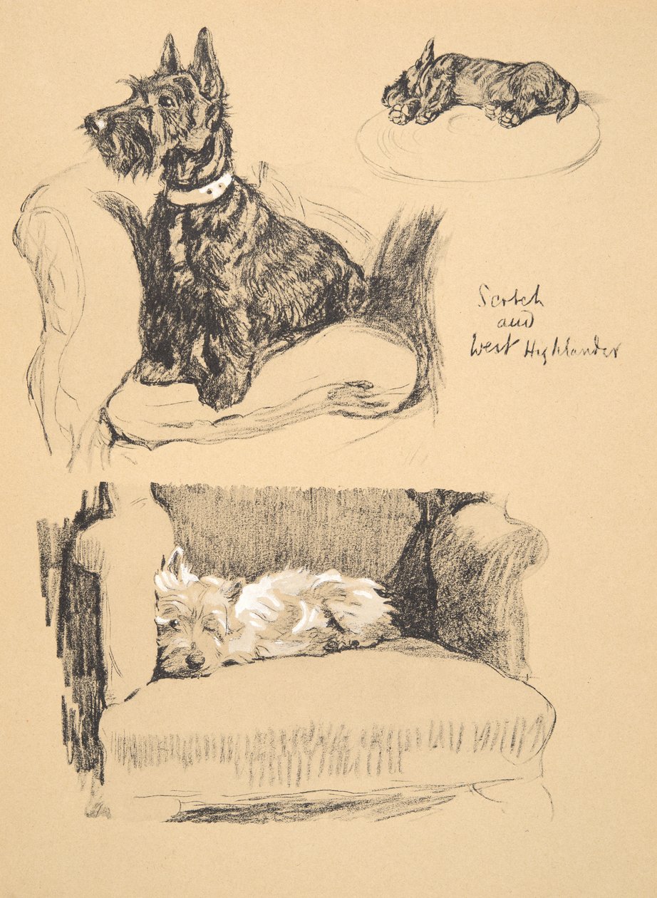 Scotch and West Highlander, 1930, Illustrations from his Sketch Book used for Just Among Friends, Aldin, Cecil Charles Windsor (1870-1935), myöhemmin julkaissut Eyre and Spottiswoode Limited, 1934, Chal tekijältä Cecil Charles Windsor Aldin