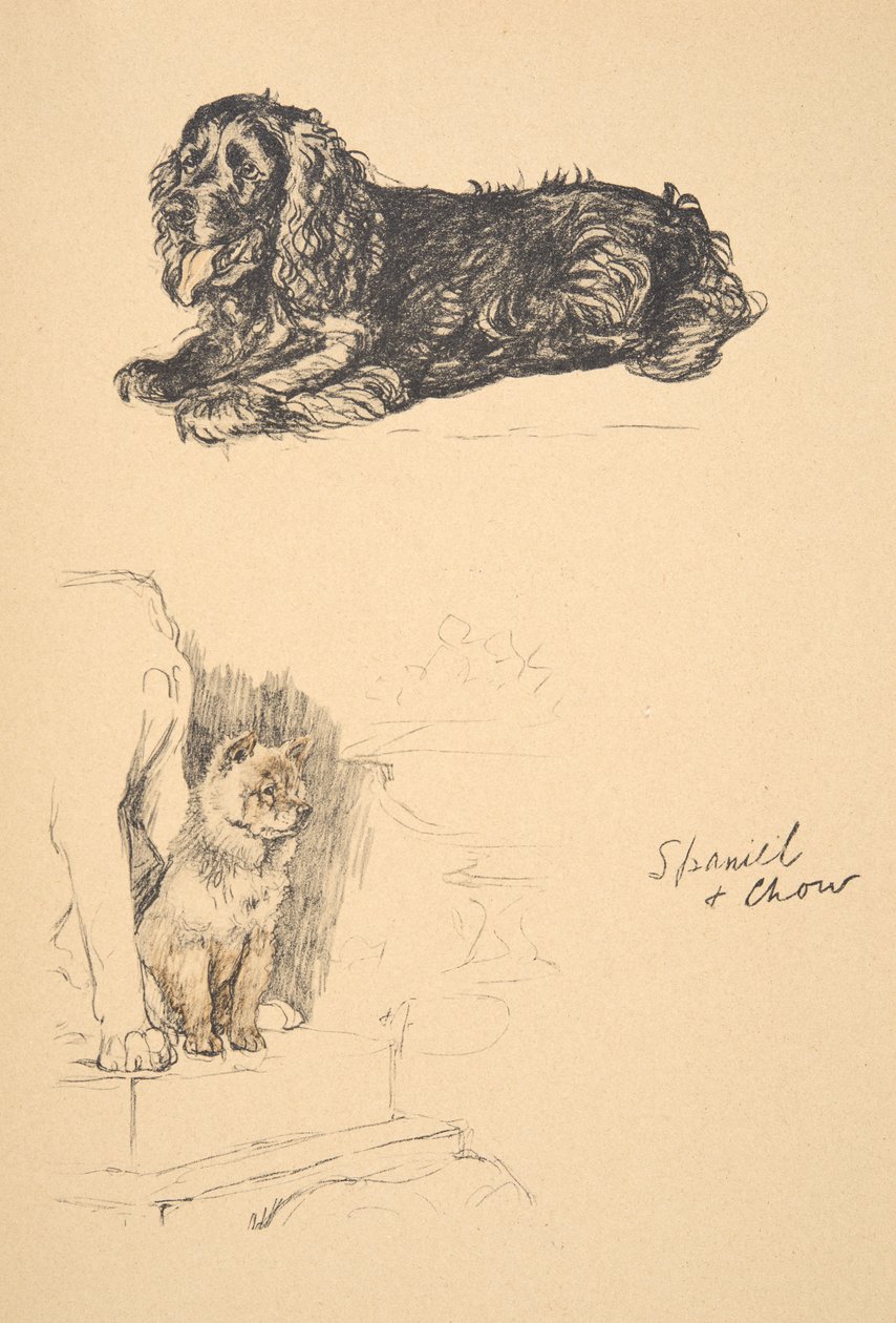 Spaniel and Chow, 1930, Illustrations from his Sketch Book used for Just Among Friends, Aldin, Cecil Charles Windsor (1870-1935), myöhemmin julkaissut Eyre and Spottiswoode Limited, 1934, Chalk and Char. tekijältä Cecil Charles Windsor Aldin