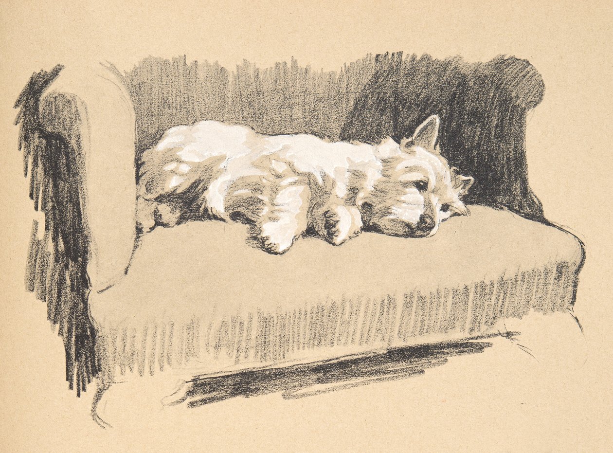 West Highlander, 1930, piirroksia hänen luonnoskirjastaan, käytetty "Just among Friends", Aldin, Cecil Charles Windsor (1870-1935), myöhemmin julkaissut Eyre ja Spottiswoode Limited, 1934, Chalk ja Cha tekijältä Cecil Charles Windsor Aldin