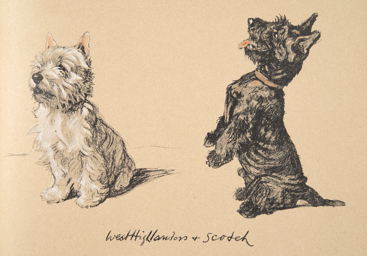 West Highlander ja Scotch, 1930, piirroksia hänen luonnoskirjastaan, jota käytetään "Just among Friends" -julkaisussa, Aldin, Cecil Charles Windsor (1870-1935), myöhemmin julkaissut Eyre ja Spottiswoode Limited, 1934, Ch tekijältä Cecil Charles Windsor Aldin