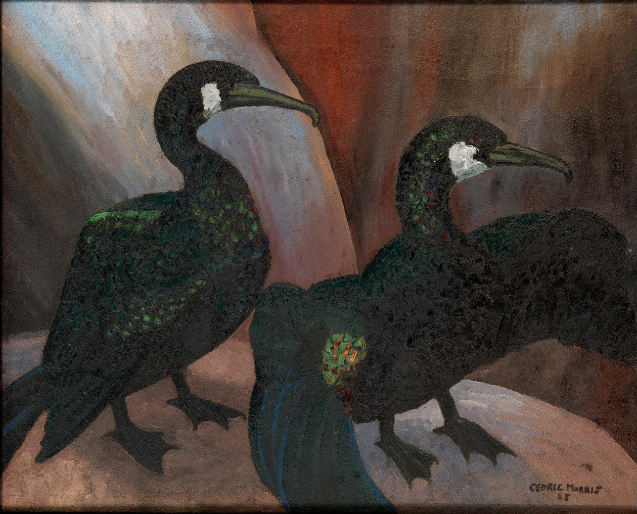 Vihreät merimetsot tekijältä Cedric Morris