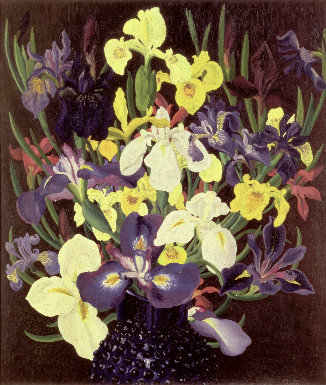 Irisryhmä, n. 1940 tekijältä Cedric Morris