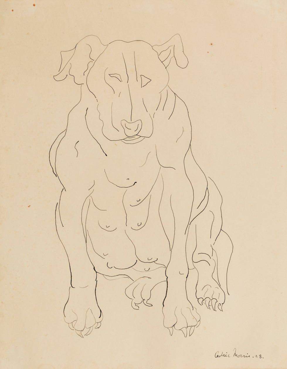 Nancy Morrisin härkäkoira tekijältä Cedric Morris