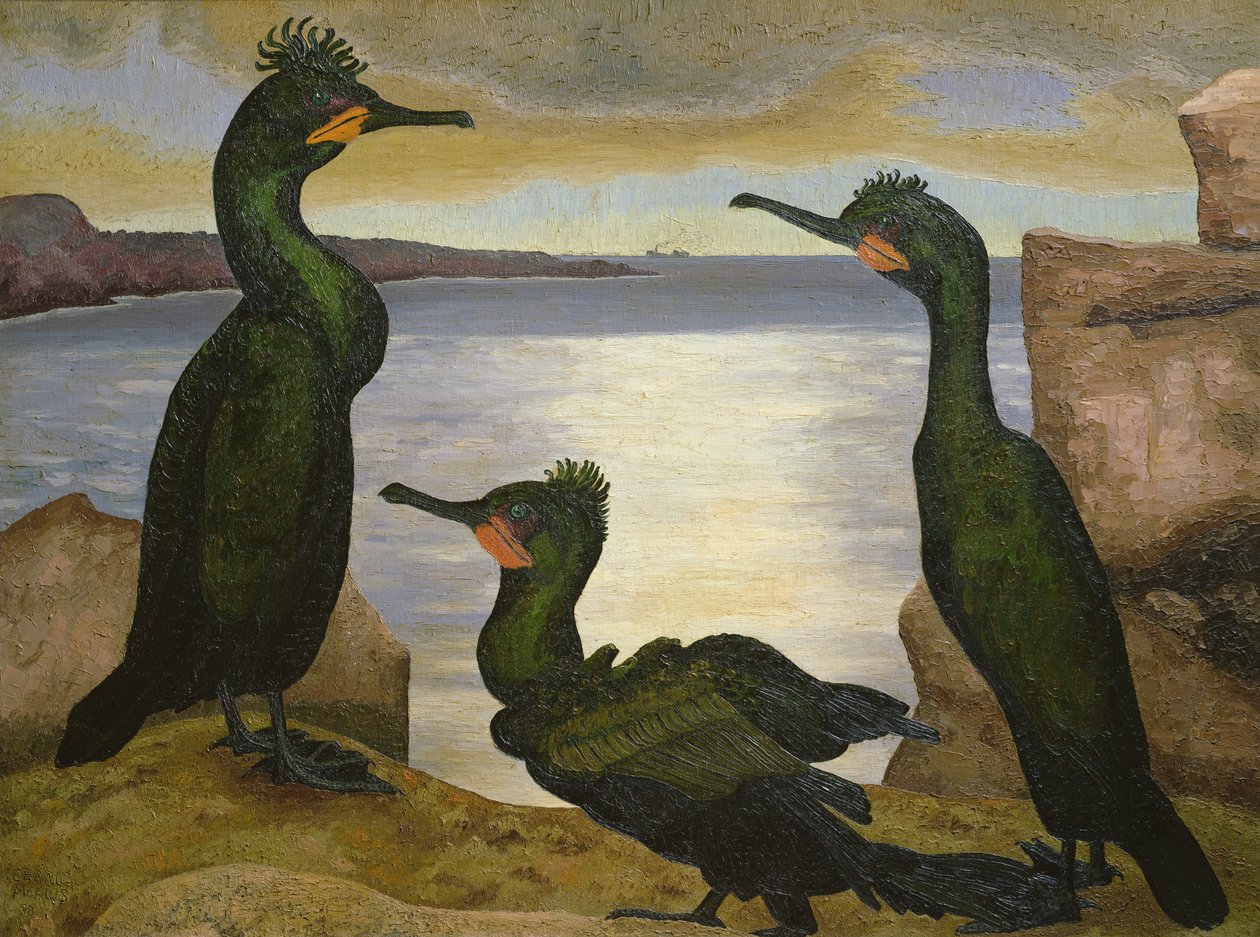 Shags tekijältä Cedric Morris