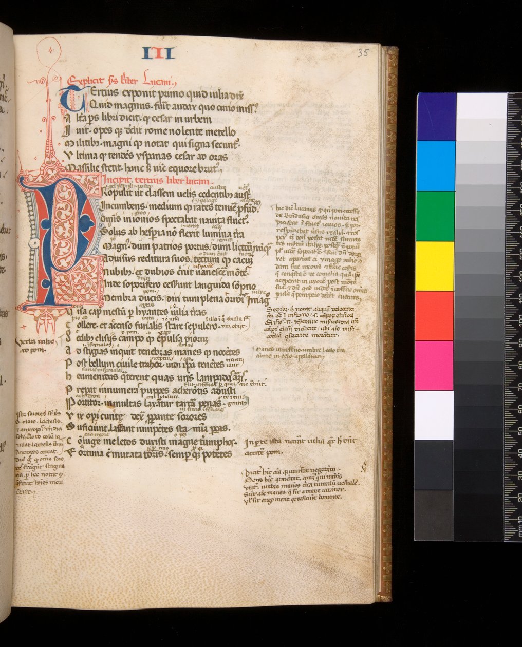 Ms 325. Lucan, Bellum Civile ja muut teokset, f.35r. Erotettu alkukirjain [P] punaisella ja sinisellä kontrastivärisellä kynäkukoilulla, n. 1353 (pergamentti) tekijältä Central Italian School