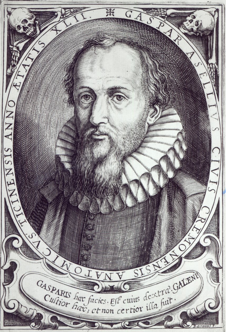 Gaspare Aselli tekijältä Cesare Bassano