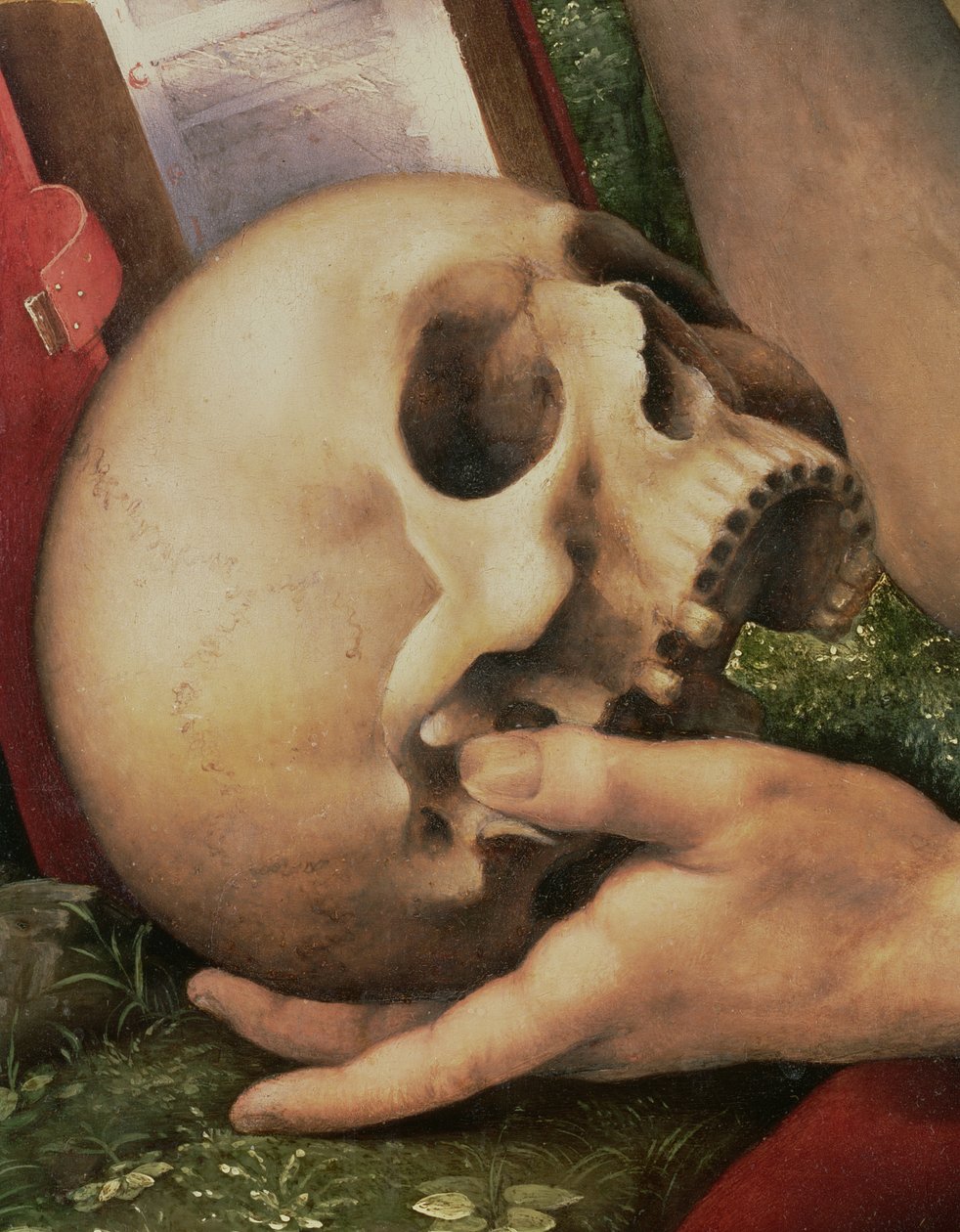 St. Jerome, kallon yksityiskohta (yksityiskohta 112517) tekijältä Cesare da Sesto