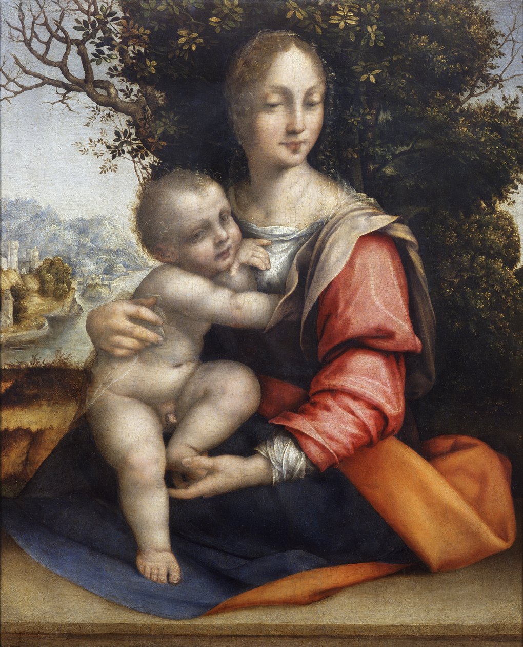 Madonna ja lapsi (Our Lady of the Tree) tekijältä Cesare da Sesto