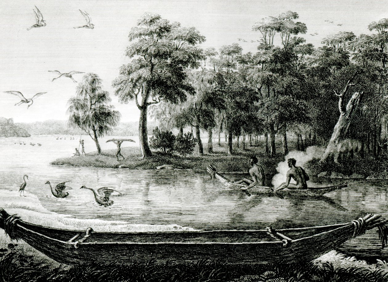 New Holland: Uusi Etelä-Wales tekijältä Charles Alexandre Lesueur