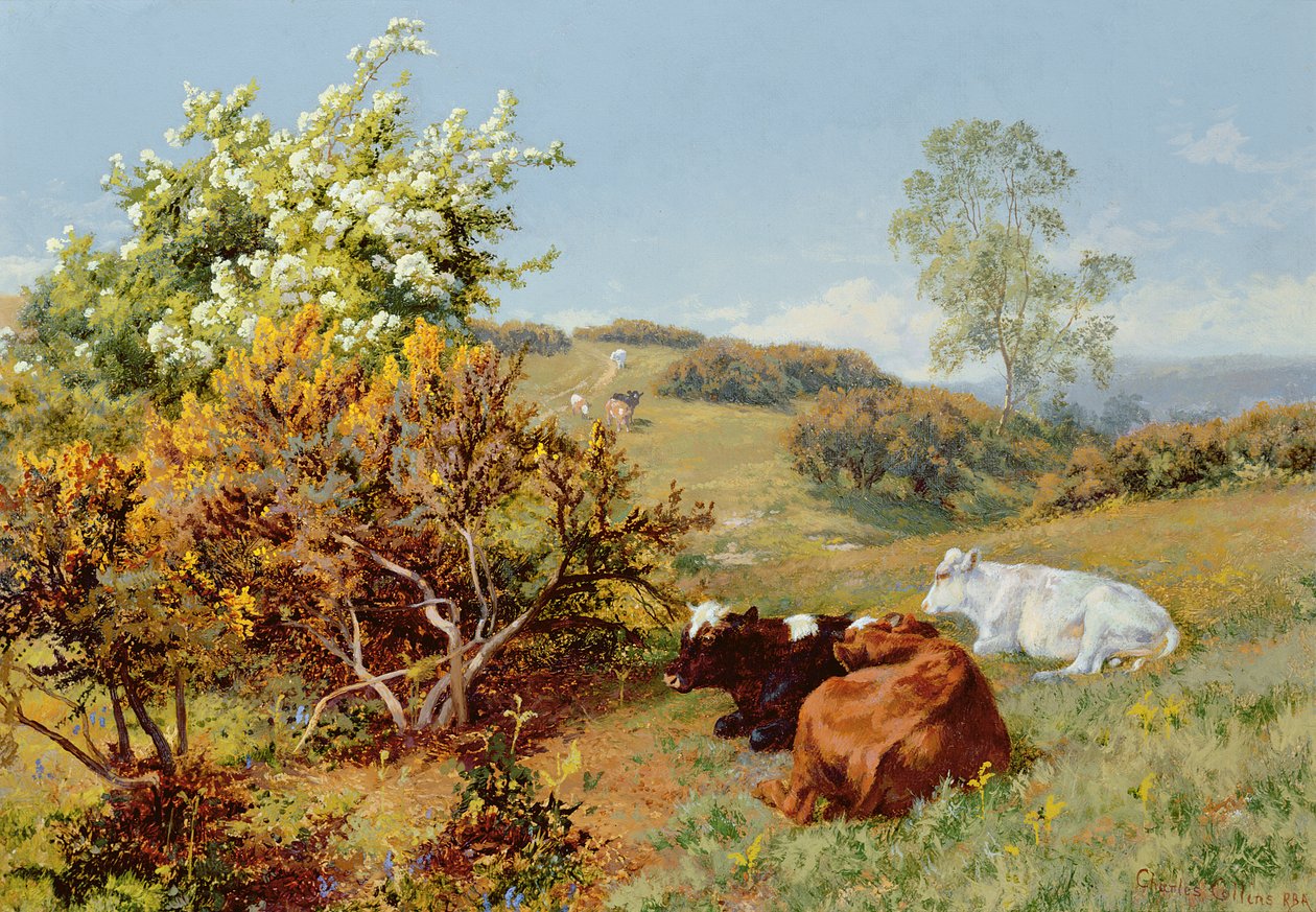 Nowerissa, Dorking tekijältä Charles Collins