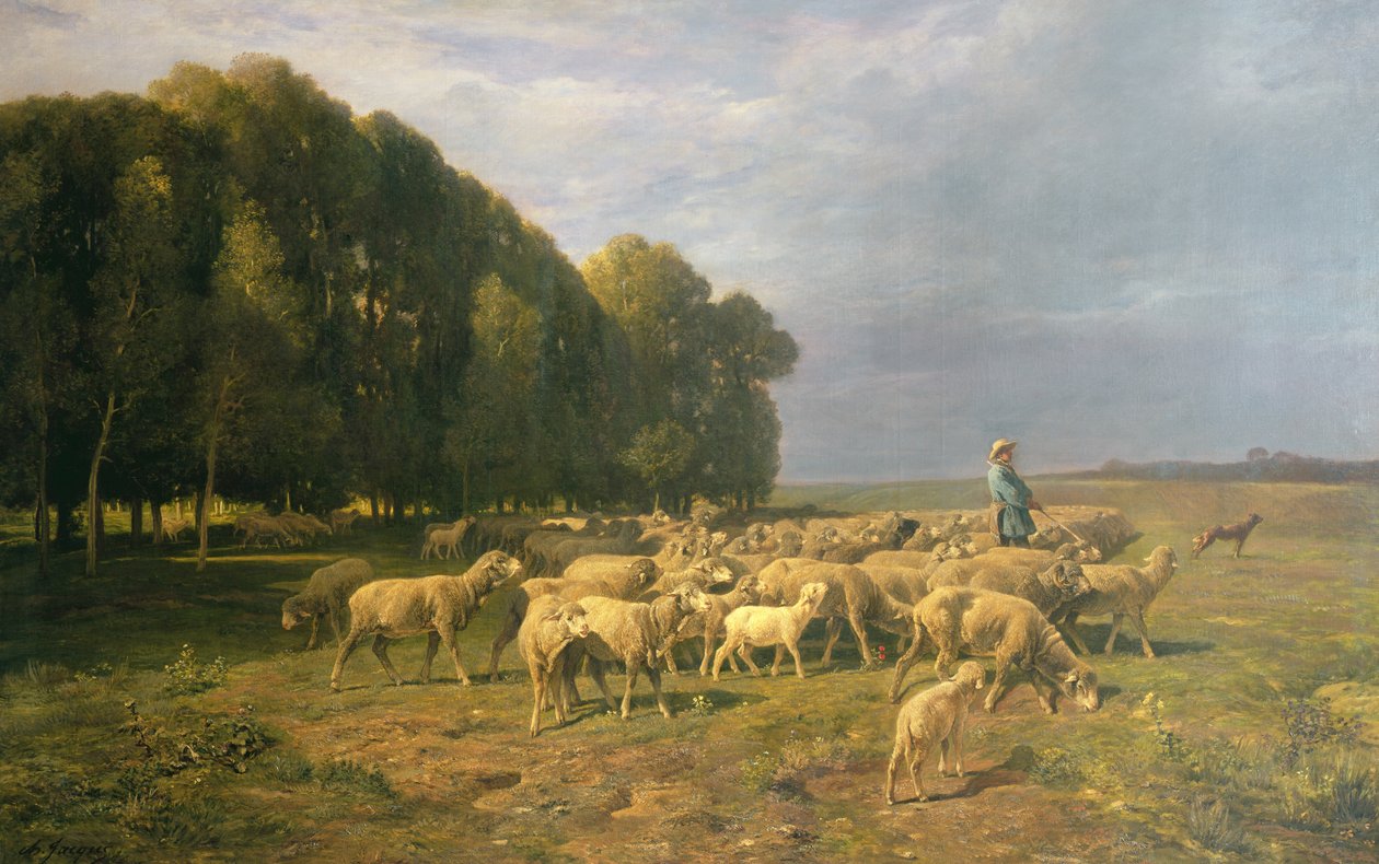 Lammaslauma maisemassa tekijältä Charles Emile Jacque