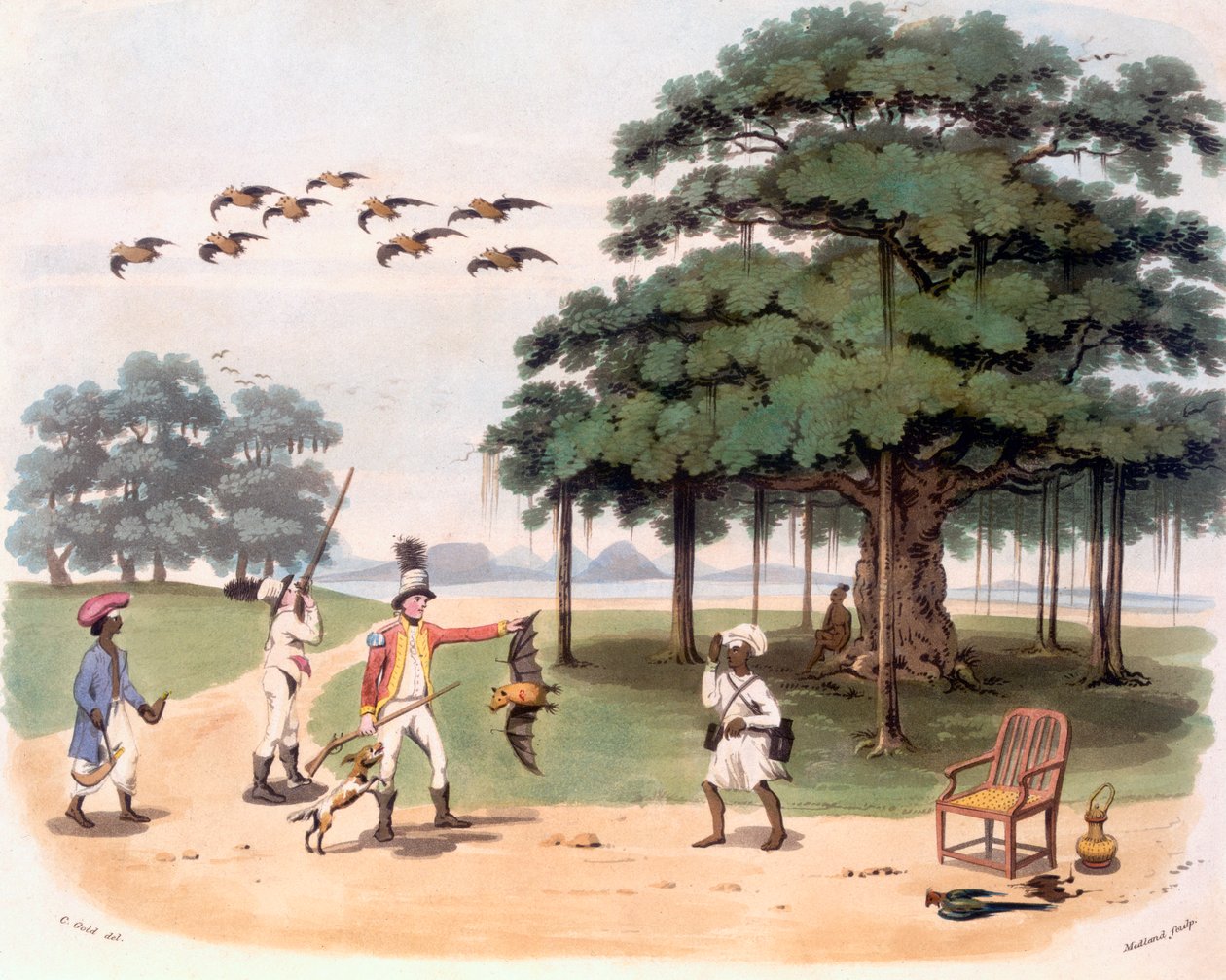 Lentävät ketut Banyantreessa, n. 1791-1798 (väriakvatinta) tekijältä Charles Emilius Gold
