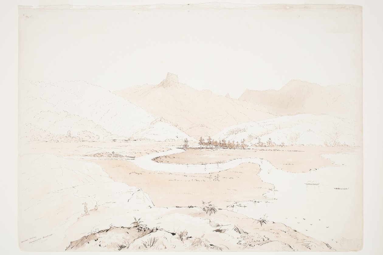 Waiau Valley Coromandel Harbour tekijältä Charles Heaphy