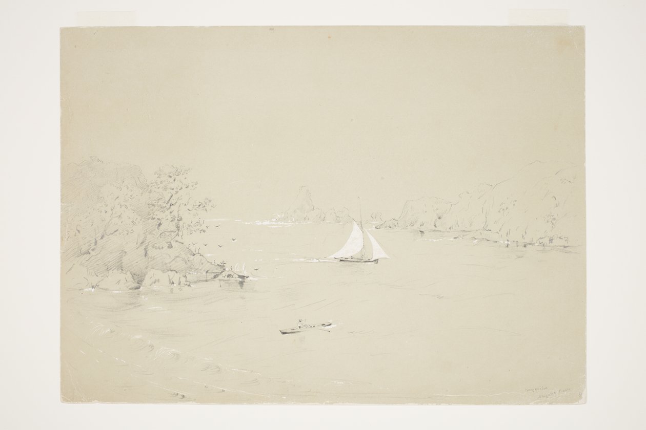 Wangaaihu Wangaroa Coast tekijältä Charles Heaphy