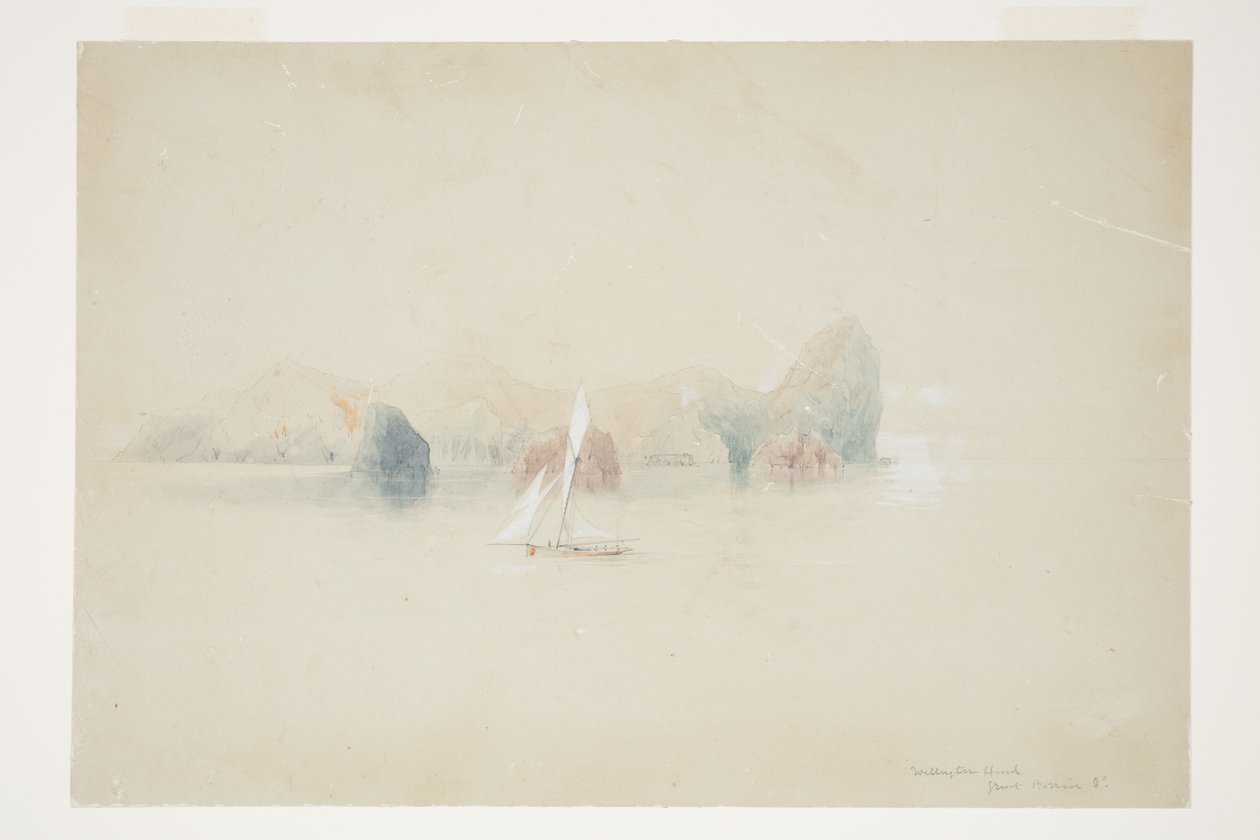 Wellington Head, Great Barrier Id tekijältä Charles Heaphy