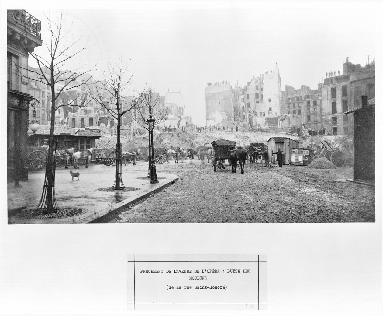 Avenue de l