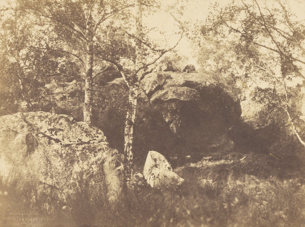 Fontainebleau tekijältä Charles Marville